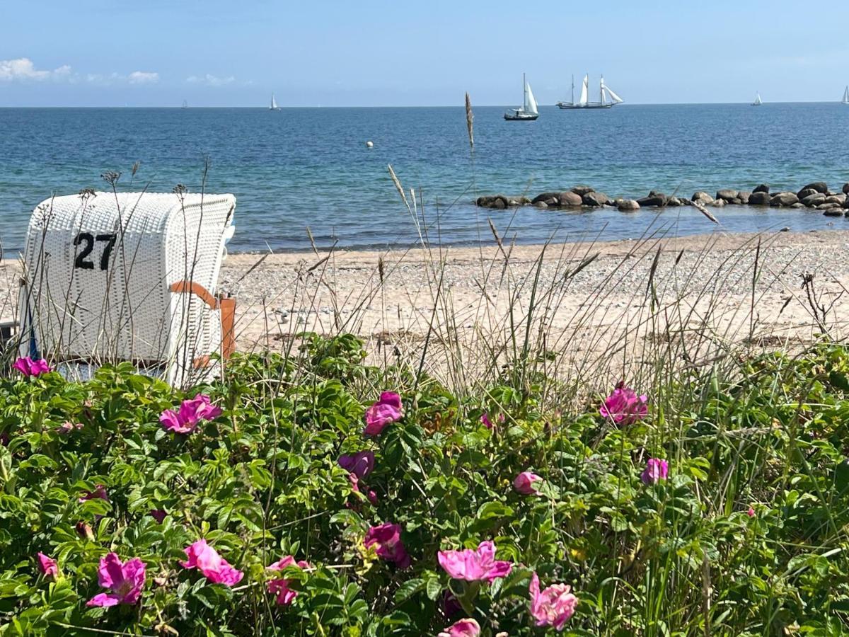 Seelund - Meeresrauschen Lauschen - Ruhiges Sonniges Apartment Mit Garten Und Terrasse Nahe Strand Und Ostsee Schönhagen Eksteriør billede